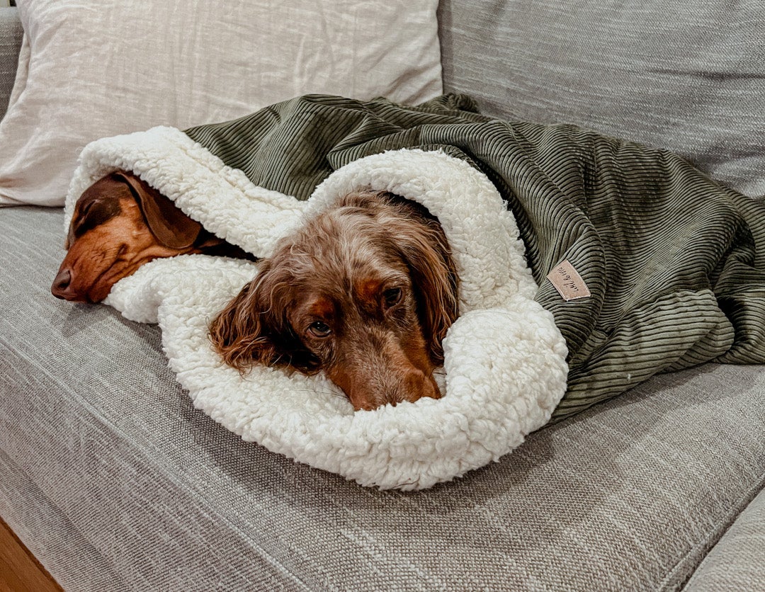 Dachshund on sale snuggle bed